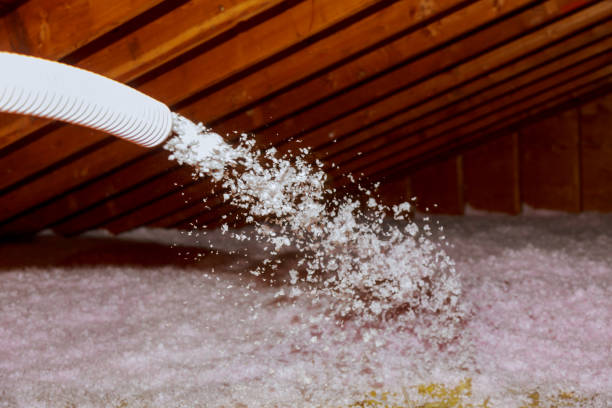 Best Cellulose Insulation in Aurora, IL