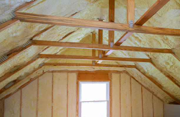 Best Specialized Insulation Services in Aurora, IL