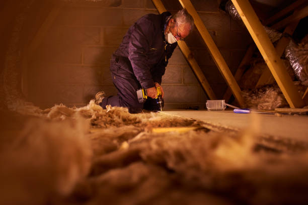 Trusted Aurora, IL Insulation Contractor Experts
